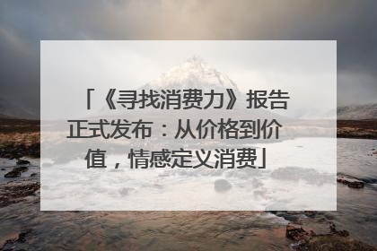 《寻找消费力》报告正式发布：从价格到价值，情感定义消费
