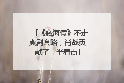 《藏海传》不走爽剧套路，肖战贡献了一半看点