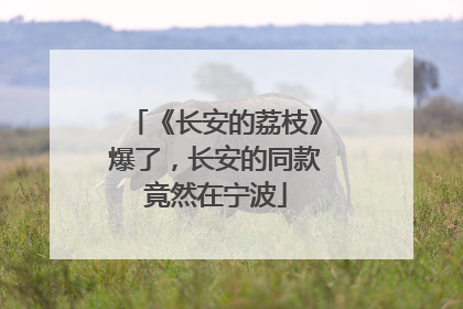 《长安的荔枝》爆了，长安的同款竟然在宁波