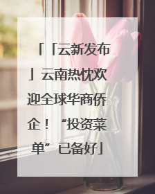 「云新发布」云南热忱欢迎全球华商侨企！“投资菜单”已备好