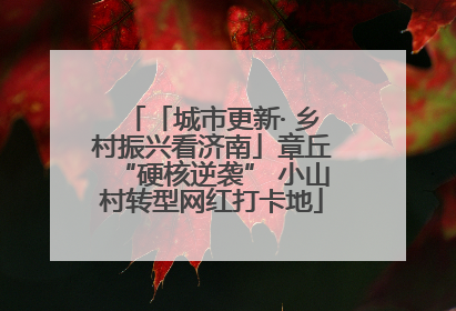 「城市更新· 乡村振兴看济南」章丘“硬核逆袭” 小山村转型网红打卡地
