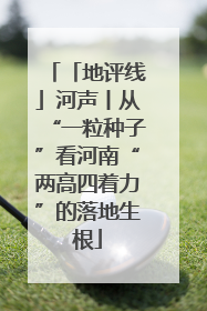 「地评线」河声丨从“一粒种子”看河南“两高四着力”的落地生根