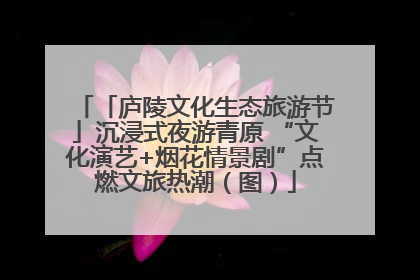 「庐陵文化生态旅游节」沉浸式夜游青原 “文化演艺+烟花情景剧”点燃文旅热潮（图）