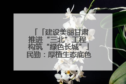 「建设美丽甘肃 推进“三北”工程 构筑“绿色长城”」民勤：厚植生态底色 筑牢绿色屏障