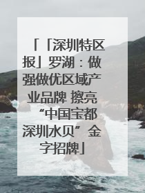「深圳特区报」罗湖：做强做优区域产业品牌 擦亮“中国宝都 深圳水贝”金字招牌
