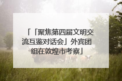 「聚焦第四届文明交流互鉴对话会」外宾团组在敦煌市考察