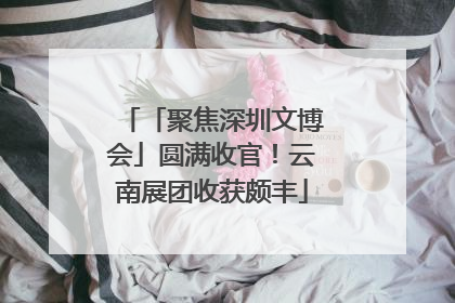 「聚焦深圳文博会」圆满收官！云南展团收获颇丰