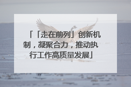 「走在前列」创新机制，凝聚合力，推动执行工作高质量发展