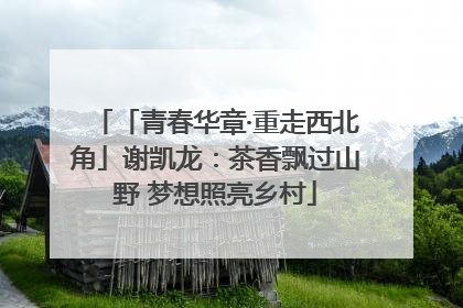 「青春华章·重走西北角」谢凯龙：茶香飘过山野 梦想照亮乡村