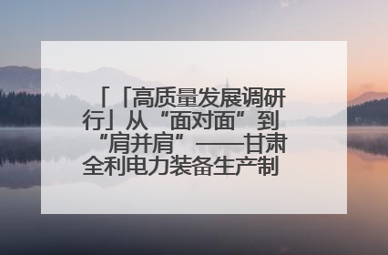 「高质量发展调研行」从“面对面”到“肩并肩”——甘肃全利电力装备生产制造项目一线见闻
