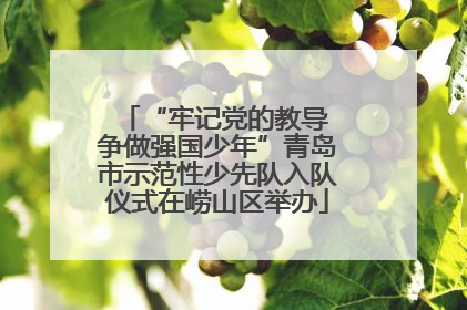 “牢记党的教导 争做强国少年”青岛市示范性少先队入队仪式在崂山区举办