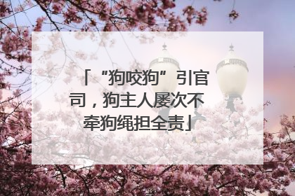 “狗咬狗”引官司，狗主人屡次不牵狗绳担全责