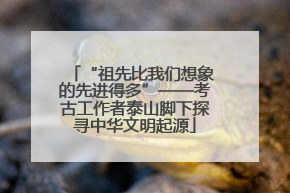 “祖先比我们想象的先进得多”——考古工作者泰山脚下探寻中华文明起源