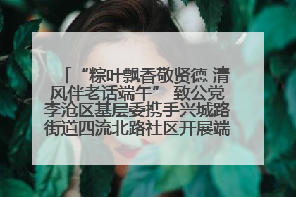 “粽叶飘香敬贤德 清风伴老话端午” 致公党李沧区基层委携手兴城路街道四流北路社区开展端午节主题活动