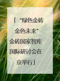 “绿色金砖 金色未来”金砖国家智库国际研讨会在京举行