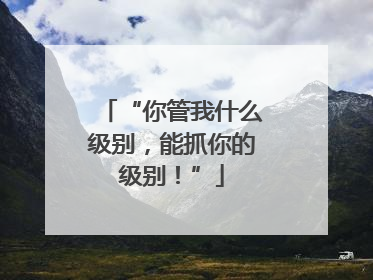 “你管我什么级别，能抓你的级别！”