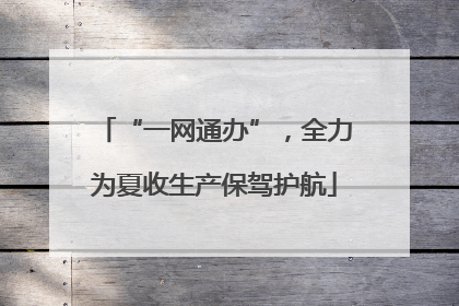 “一网通办”，全力为夏收生产保驾护航