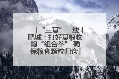 “三夏”一线丨肥城：打好夏粮收购“组合拳” 确保粮食颗粒归仓
