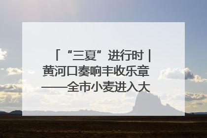 “三夏”进行时｜黄河口奏响丰收乐章——全市小麦进入大面积收获高峰期