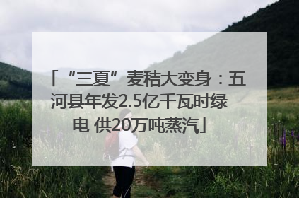 “三夏”麦秸大变身：五河县年发2.5亿千瓦时绿电 供20万吨蒸汽