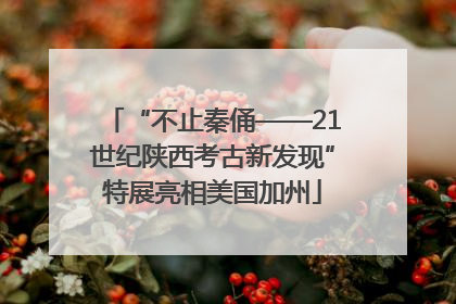 “不止秦俑——21世纪陕西考古新发现”特展亮相美国加州