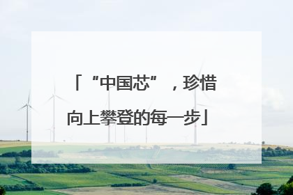 “中国芯”，珍惜向上攀登的每一步