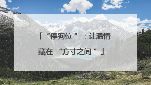“停狗位 ”：让温情藏在 “方寸之间 ”