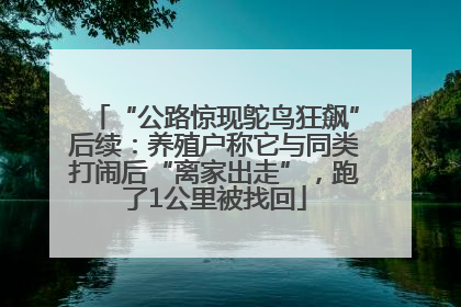 “公路惊现鸵鸟狂飙”后续：养殖户称它与同类打闹后“离家出走”，跑了1公里被找回