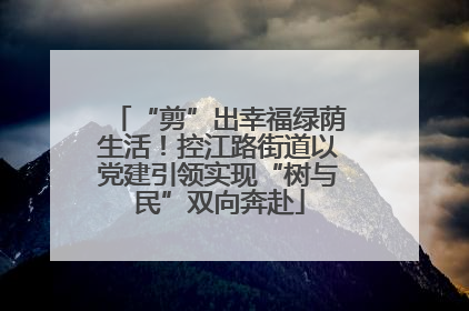 “剪”出幸福绿荫生活！控江路街道以党建引领实现“树与民”双向奔赴