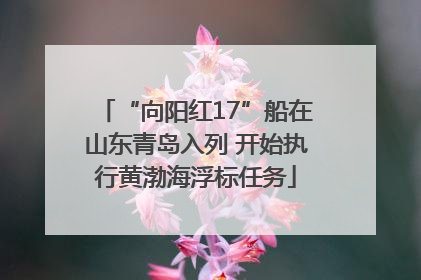 “向阳红17”船在山东青岛入列 开始执行黄渤海浮标任务