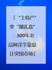 “土特产”变“潮礼盒”：300年老品种洋芋靠设计突围市场