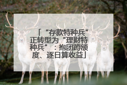 “存款特种兵”正转型为“理财特种兵”：抱团蹲额度、逐日算收益