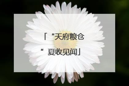 “天府粮仓”夏收见闻