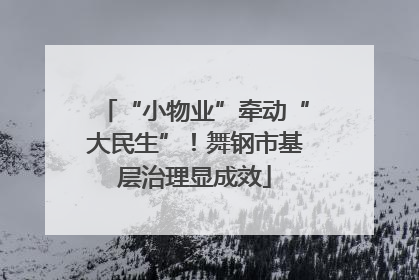 “小物业”牵动“大民生”！舞钢市基层治理显成效