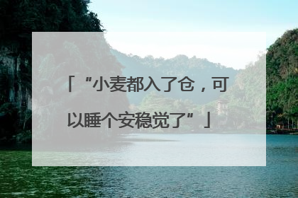 “小麦都入了仓，可以睡个安稳觉了”