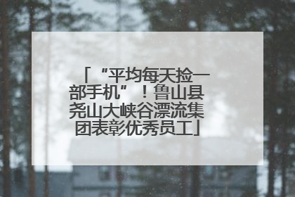 “平均每天捡一部手机”！鲁山县尧山大峡谷漂流集团表彰优秀员工