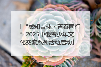 “感知吉林・青春同行”2025中俄青少年文化交流系列活动启动