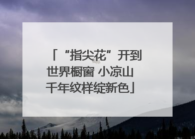 “指尖花”开到世界橱窗 小凉山千年纹样绽新色