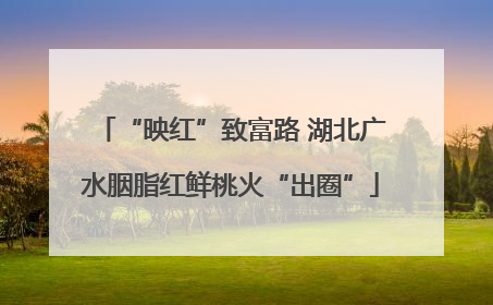 “映红”致富路 湖北广水胭脂红鲜桃火“出圈”