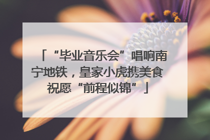 “毕业音乐会”唱响南宁地铁，皇家小虎携美食祝愿“前程似锦”