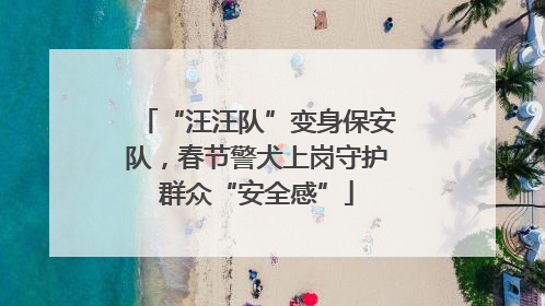 “汪汪队”变身保安队，春节警犬上岗守护群众“安全感”