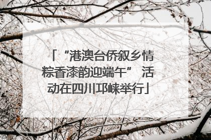 “港澳台侨叙乡情 粽香漆韵迎端午” 活动在四川邛崃举行