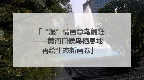 “湿”情画意鸟翩跹——黄河口候鸟栖息地再绘生态新画卷