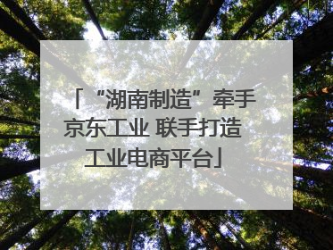 “湖南制造”牵手京东工业 联手打造工业电商平台