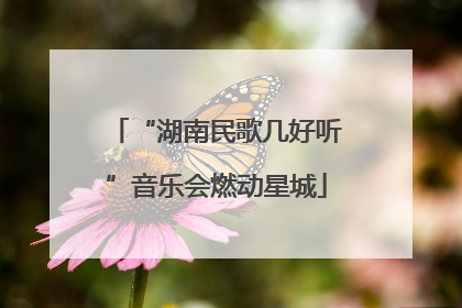 “湖南民歌几好听”音乐会燃动星城
