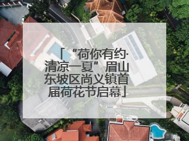 “荷你有约·清凉一夏”眉山东坡区尚义镇首届荷花节启幕