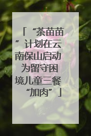 “茶苗苗”计划在云南保山启动 为留守困境儿童三餐“加肉”