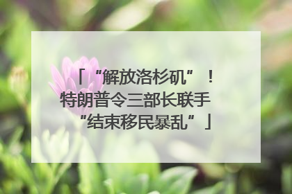 “解放洛杉矶”！特朗普令三部长联手“结束移民暴乱”