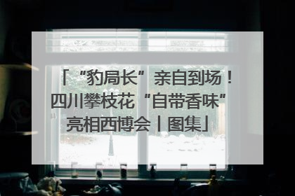 “豹局长”亲自到场！四川攀枝花“自带香味”亮相西博会丨图集