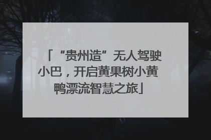 “贵州造”无人驾驶小巴，开启黄果树小黄鸭漂流智慧之旅